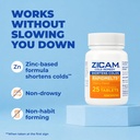zicam-cold-remedy-rapidmelts-homeopathic-6.jpg