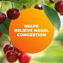 zicam-cold-remedy-rapidmelts-homeopathic-4.jpg