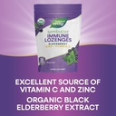 nature-s-way-sambucus-zinc-lozenges-with-5.jpg