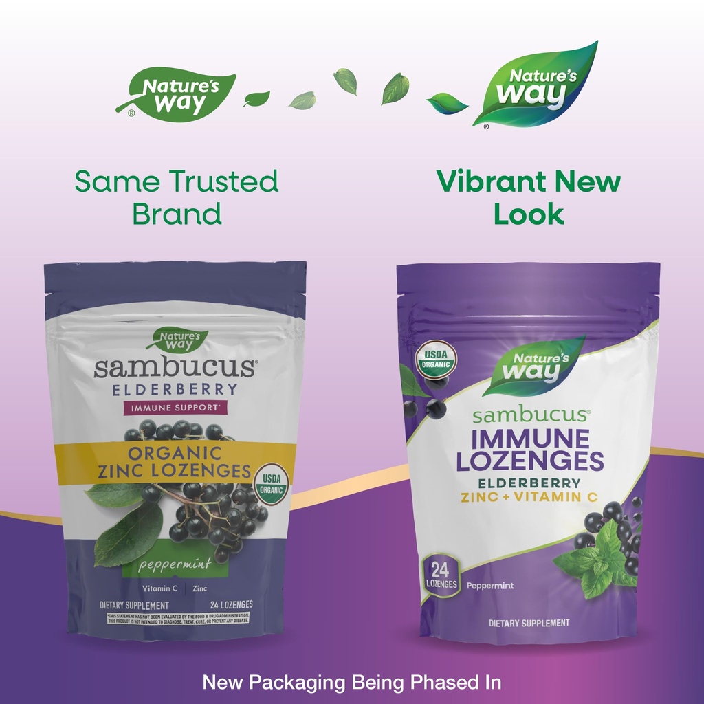 nature-s-way-sambucus-zinc-lozenges-with-3.jpg