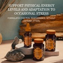 herbs-etc-ultimate-ginseng-softgels-herb-4.jpg