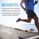 garden-of-life-vitamin-code-raw-one-men--3.jpg