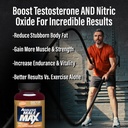 ageless-male-max-total-testosterone-boos-4.jpg