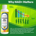 nutrapep-liposomal-nad-liquid-supplement-2.jpg