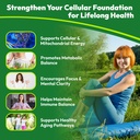 nutrapep-liposomal-nad-liquid-supplement-4.jpg