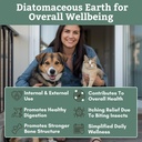 wholistic-pet-organics-diatomaceous-eart-2.jpg