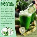 chlorophyll-liquid-drops-natural-chlorop-6.jpg