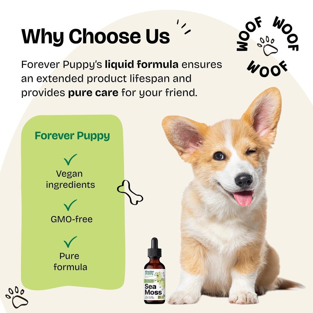 forever-puppy-irish-sea-moss-drops-for-d-6.jpg