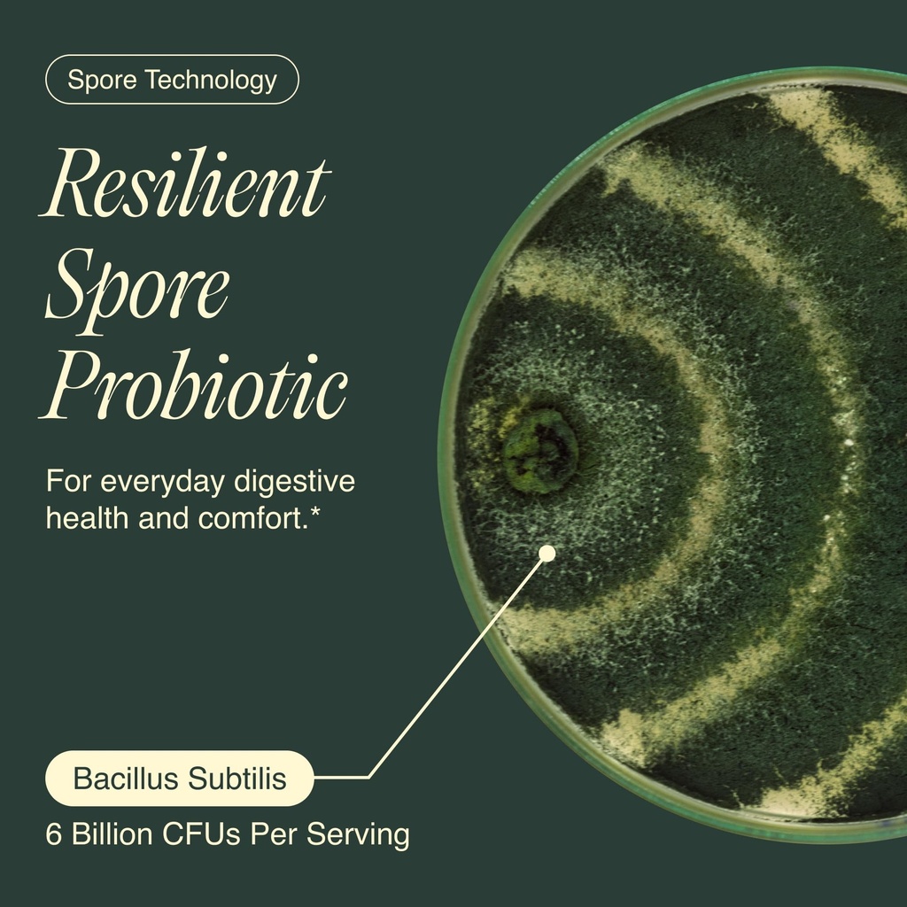 bacillus-subtilis-spore-based-probiotic--4.jpg