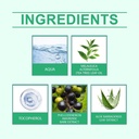 2pcs-foot-sanitizer-spray-with-tea-tree--4.jpg