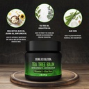 viking-revolution-tea-tree-oil-balm-foot-5.jpg
