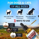 eduzebra-urinary-tract-health-treatment--5.jpg
