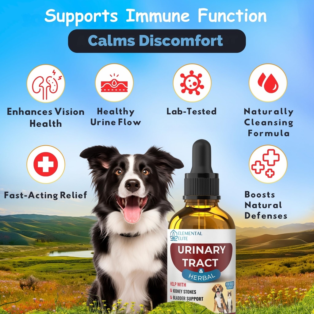 eduzebra-urinary-tract-health-treatment--3.jpg