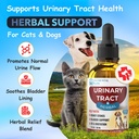 eduzebra-urinary-tract-health-treatment--2.jpg