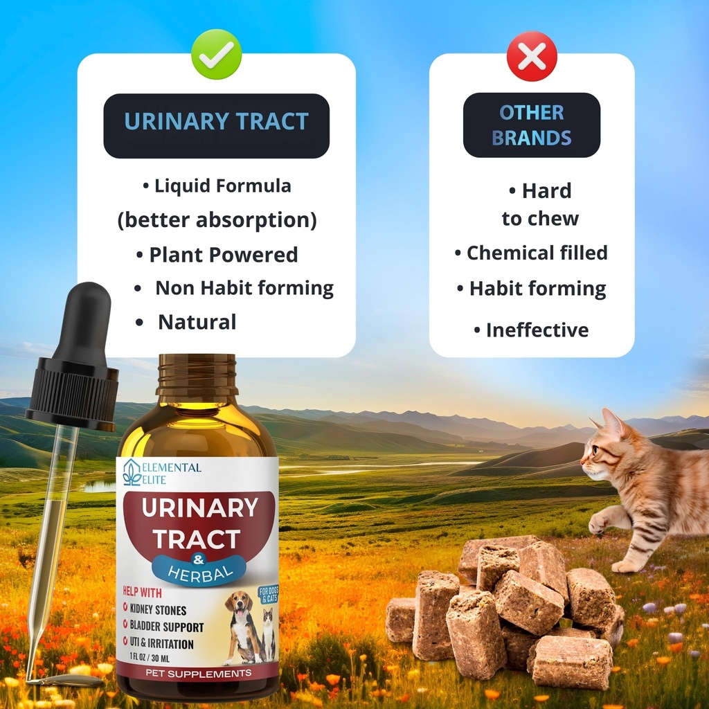 eduzebra-urinary-tract-health-treatment--6.jpg