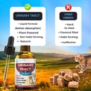 eduzebra-urinary-tract-health-treatment--6.jpg