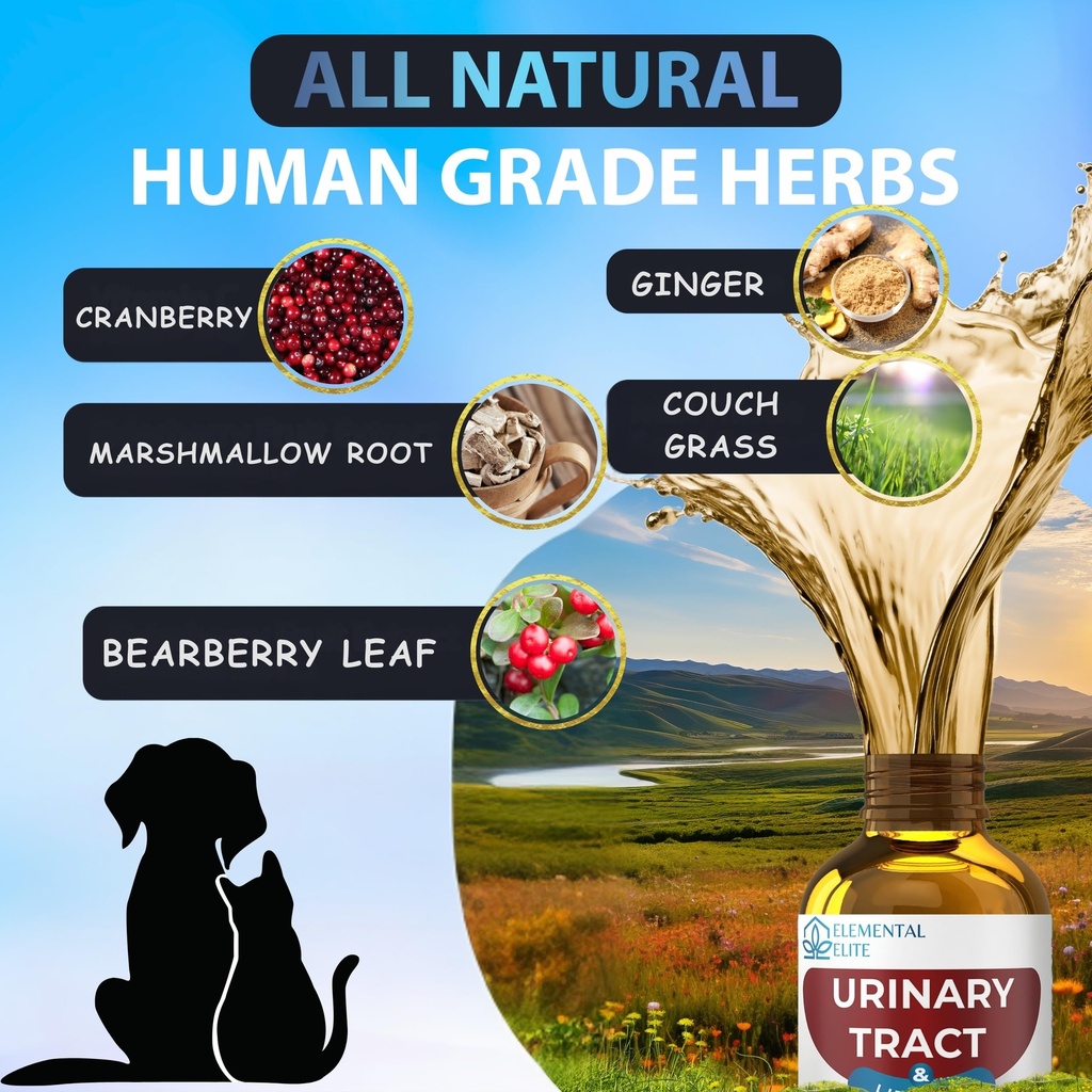 eduzebra-urinary-tract-health-treatment--4.jpg