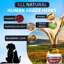eduzebra-urinary-tract-health-treatment--4.jpg