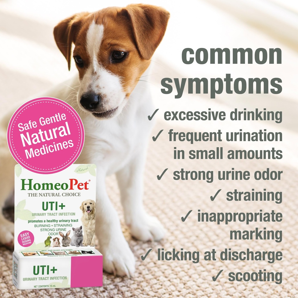 homeopet-uti-urinary-tract-supplement-sa-3.jpg