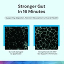 ion-intelligence-of-nature-gut-support-l-5.jpg