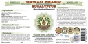 hawaii-pharm-eucalyptus-alcohol-free-liq-2.jpg