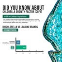 organic-chlorella-powder-raw-sun-grown-n-6.jpg