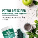 organic-chlorella-powder-raw-sun-grown-n-5.jpg