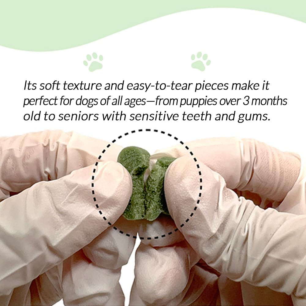 ssomdalpet-fucoidan-chewable-for-dogs-an-5.jpg