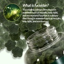 ssomdalpet-fucoidan-chewable-for-dogs-an-2.jpg