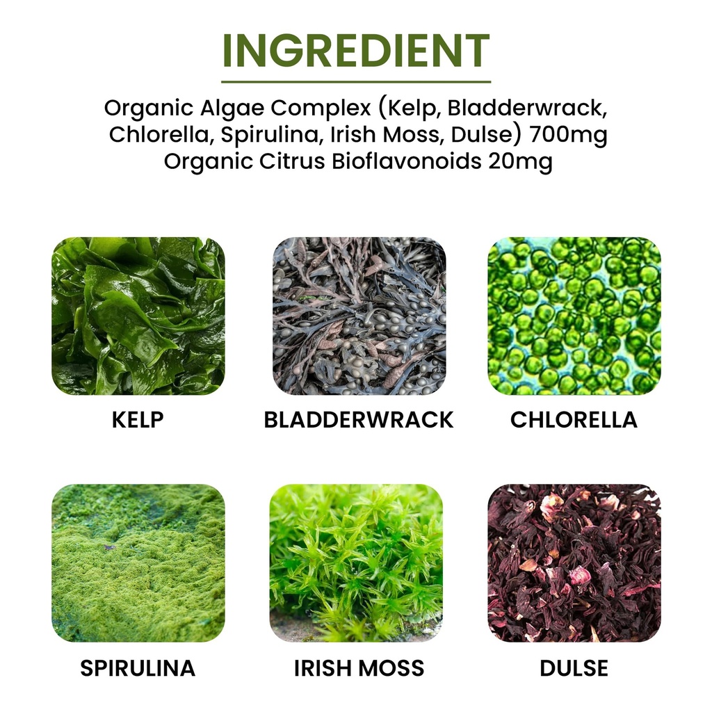 algae-fucoidan-blue-green-algae-kelp-bla-4.jpg