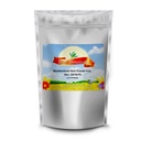 best-botanicals-bladderwrack-herb-powder-6.jpg