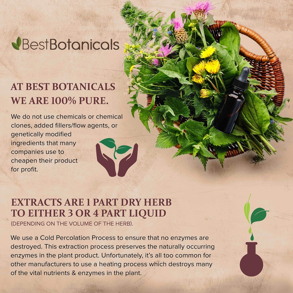 best-botanicals-bladderwrack-herb-powder-5.jpg