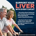 ayush-herbs-livit-2-liver-care-liver-sup-5.jpg