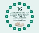 algaecal-bone-builder-pack-plant-based-c-6.jpg