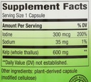 nature-s-way-kelp-kelp-supplement-for-th-4.jpg