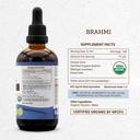 secrets-of-the-tribe-brahmi-usda-organic-4.jpg