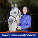 farnam-cough-free-horse-supplement-pelle-3.jpg