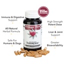 kroeger-herbs-high-absorption-turmeric-s-6.jpg