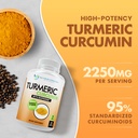 turmeric-curcumin-supplement-2250mg-d-ve-3.jpg