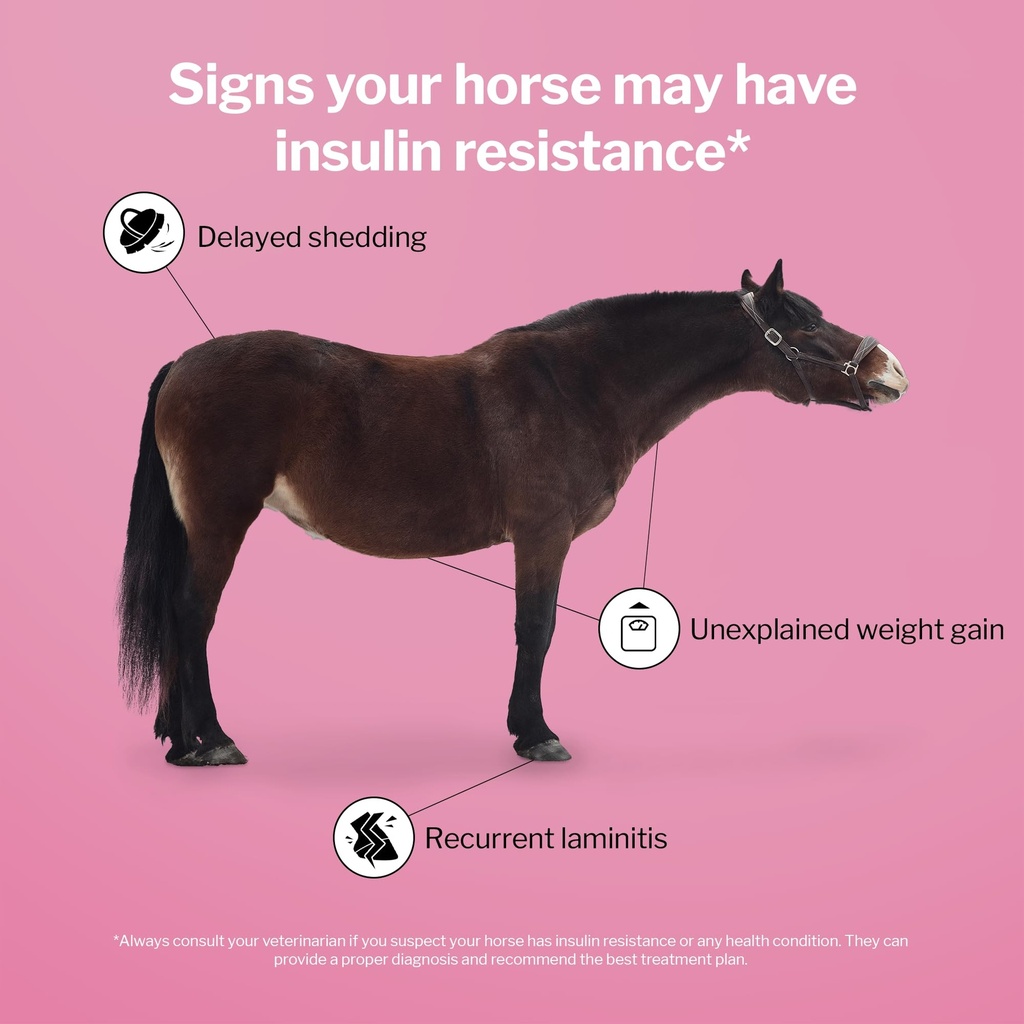 formula-707-metastable-pellets-for-horse-3.jpg