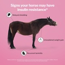 formula-707-metastable-pellets-for-horse-3.jpg