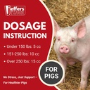 jeffers-vita-min-gel-for-livestock-horse-4.jpg