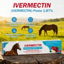 ivermect-horse-paste-1-87-for-horse-use--3.jpg