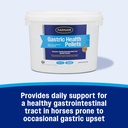 farnam-gastric-health-pellets-daily-gut--2.jpg
