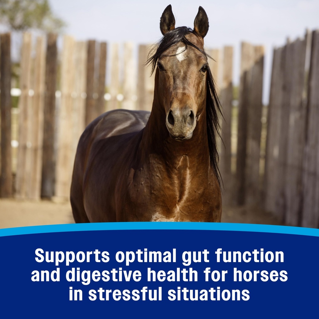 farnam-gastric-health-pellets-daily-gut--4.jpg