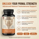 primal-viking-men-wellness-and-vitality--2.jpg