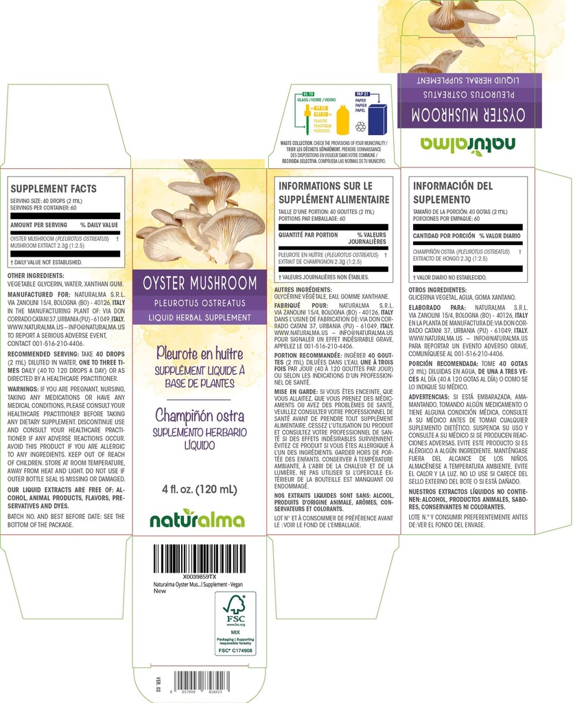 naturalma-ginger-zingiber-officinalis-rh-2.jpg