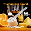 hosstile-silo-9-eaa-hydration-powder-ess-5.jpg