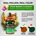 mullein-drops-for-lungs-usda-organic-liq-6.jpg