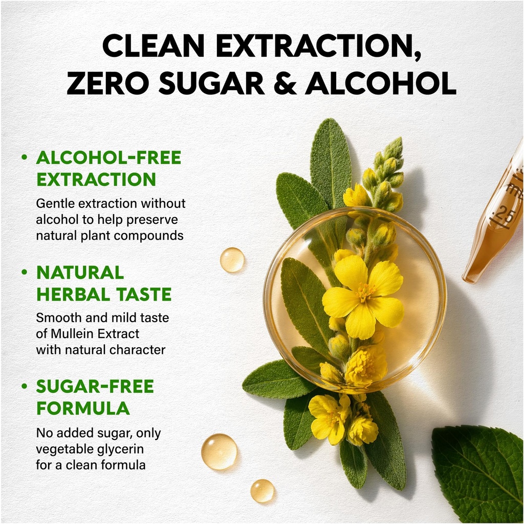 mullein-drops-for-lungs-usda-organic-liq-5.jpg